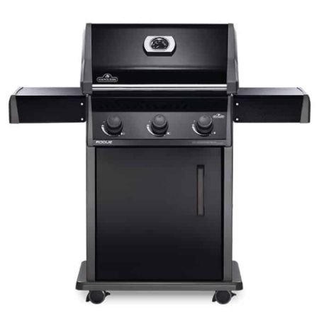 ���� �� �������� NAPOLEON ROGUE 425 ����