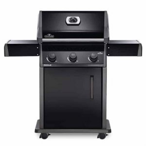 ���� �� �������� NAPOLEON ROGUE 425 ����